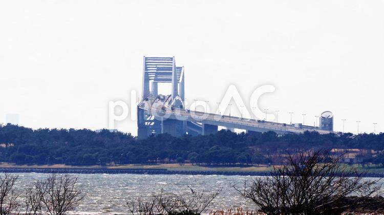 葛西臨海公園から見た東京ゲートブリッジ 東京ゲートブリッジ,海,葛西臨海公園の写真素材
