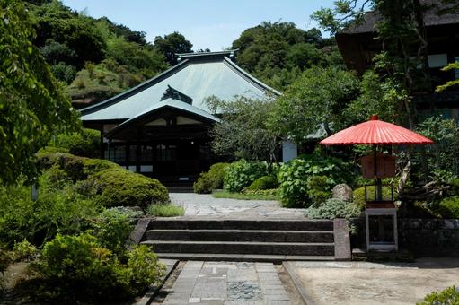 ［神奈川県鎌倉市］海蔵寺｜花の寺 鎌倉,海蔵寺,花の寺の写真素材