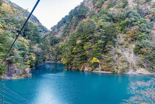 静岡県 寸又峡の秋景色 静岡県 寸又峡の秋景色 寸又峡,夢の吊橋,紅葉の写真素材