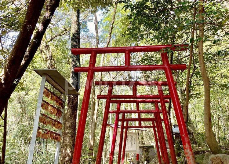 神社の鳥居（狸福神社） 鳥居,参拝,神社の写真素材