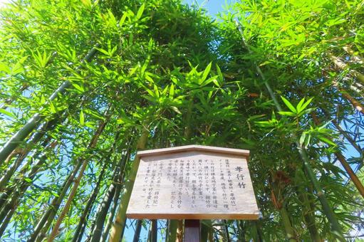 【山口県】松陰神社 孝行竹 松陰神社,孝行竹,碑の写真素材