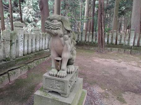 狛犬様A 狛犬様A 狛犬,お社,参拝の写真素材