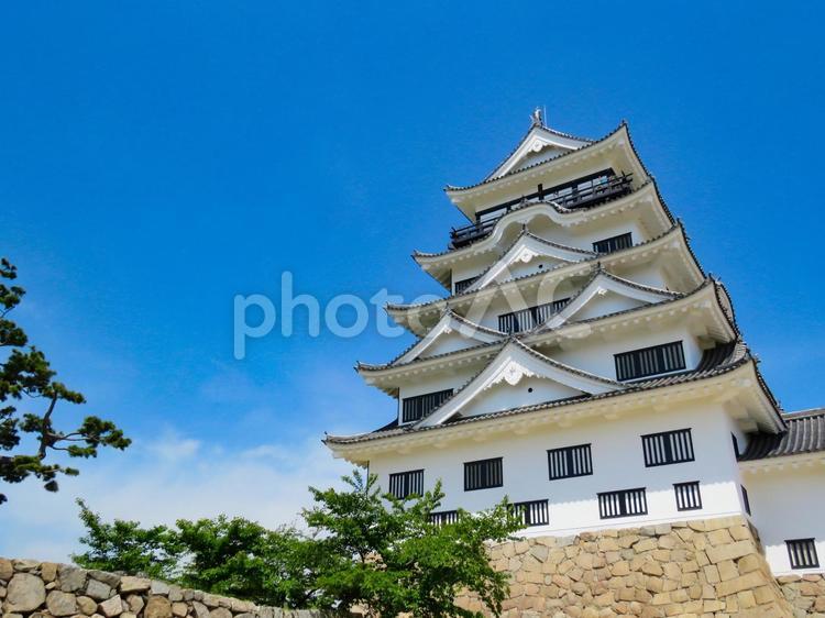 青空に映える福山城天守閣 福山城,天守閣,天守の写真素材