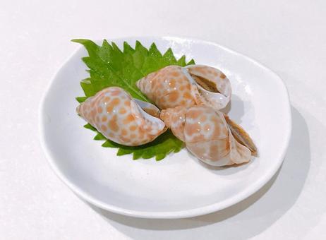 味付けバイ貝 味付けバイ貝,バイ貝,貝の写真素材