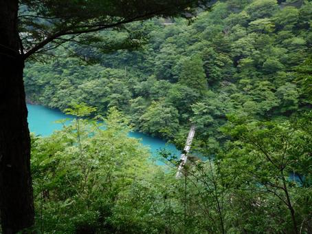 夢のつり橋、寸又峡の写真