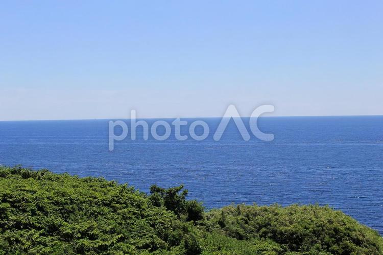 草の緑と青い海の風景 葉,緑,青い海の写真素材
