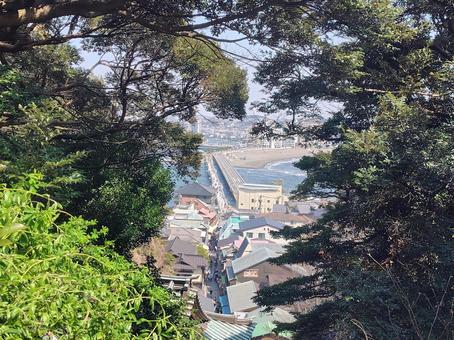 江の島にかかる弁天橋 江の島にかかる弁天橋 江の島,湘南,神奈川の写真素材