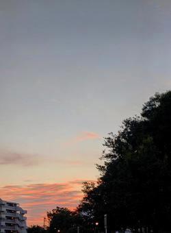陽が沈んでいく西の空の模様 陽が沈んでいく西の空の模様 空,雲,スカイの写真素材