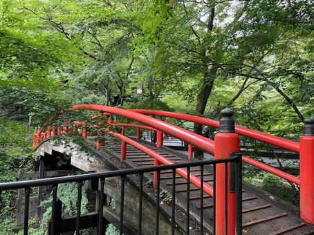 Photo, river deer bridge, gunma prefecture, great view, 