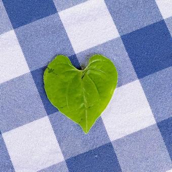 ハートの葉っぱ ハートの葉っぱの写真