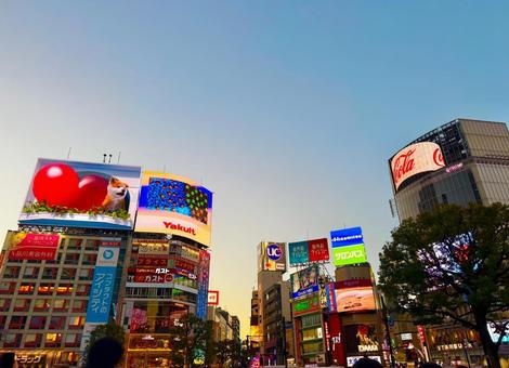 マジックアワーのスクランブル交差点 青空,空,ブルースカイの写真素材