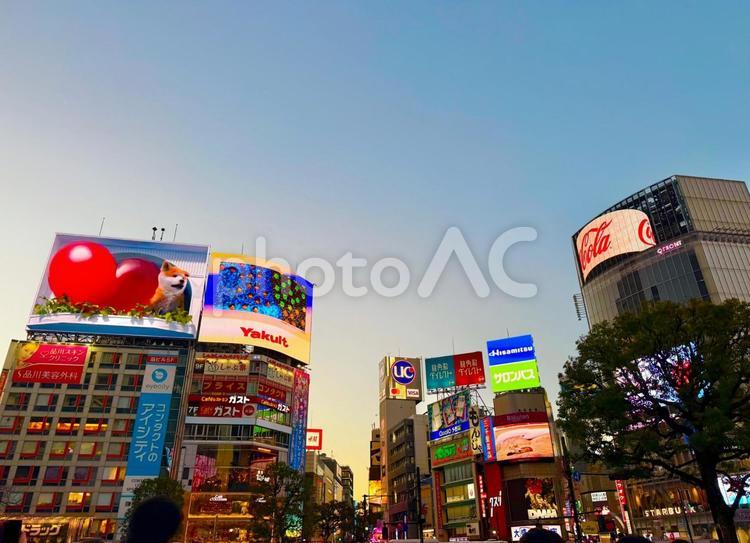 マジックアワーのスクランブル交差点 青空,空,ブルースカイの写真素材