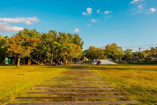 【佐賀】佐賀県立図書館の周辺 佐賀県立図書館,佐賀,図書館の写真素材