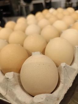 卵 食べ物,卵,調理の写真素材