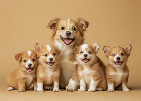 犬の家族 犬の家族の写真