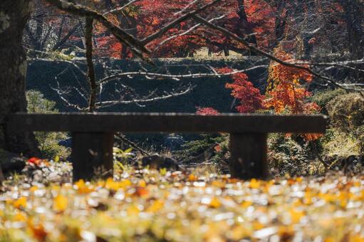 公園のベンチと午後の日差し ベンチ,椅子,石のベンチの写真素材