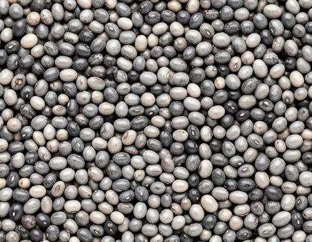灰色豆の密集配置 灰色豆の密集配置の写真