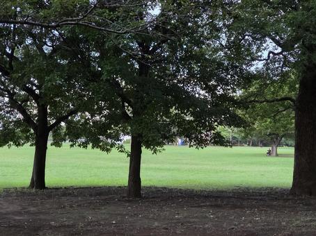朝の公園 朝の公園の写真