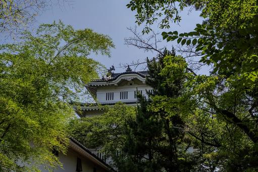 忍城 忍城 忍城,歴史,建物の写真素材