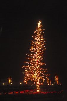 ツリーの電飾1 クリスマスライト,お祝い,イルミネーションの写真素材