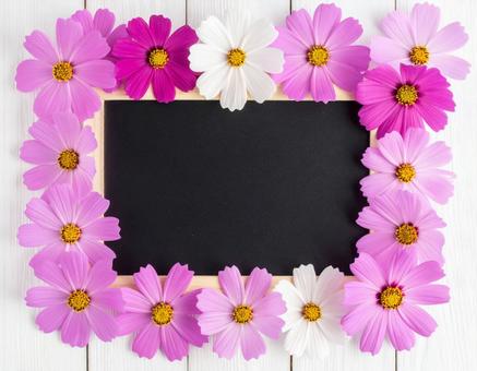 コスモスのフレーム コスモスのフレームの写真