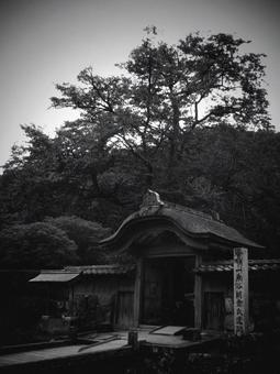 福井県-一乗谷朝倉氏遺跡-唐門-白黒 福井県-一乗谷朝倉氏遺跡-唐門-白黒 一乗谷,朝倉氏遺跡,遺跡の写真素材