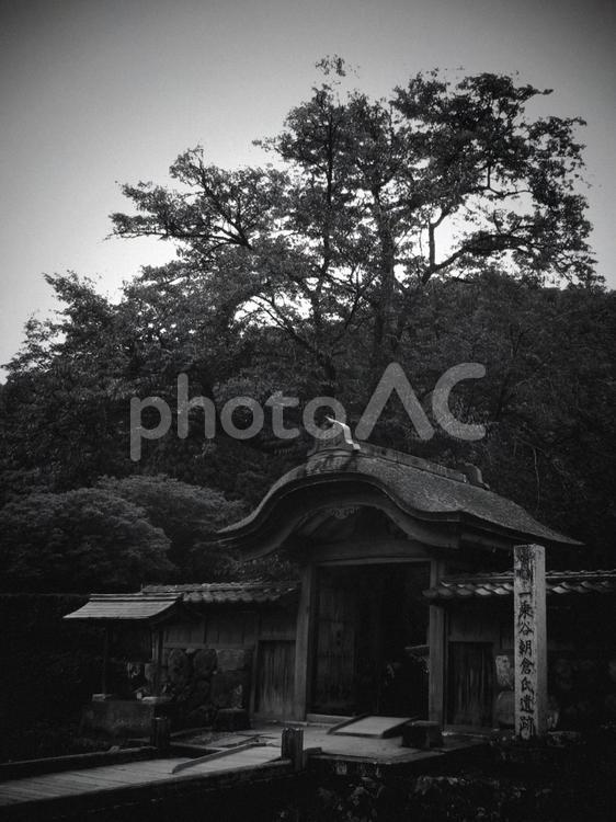 福井県-一乗谷朝倉氏遺跡-唐門-白黒 一乗谷,朝倉氏遺跡,遺跡の写真素材