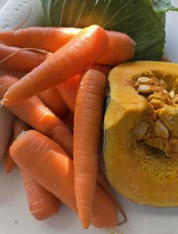 根菜たち 野菜,カボチャ,南瓜の写真素材