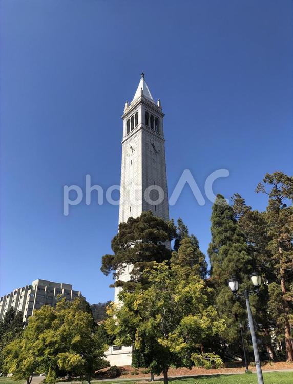 カリフォルニア大学の時計台 カリフォルニア大学,時計台,ucberkeleyの写真素材