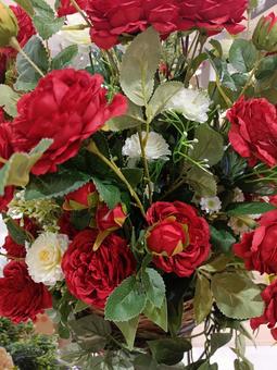 薔薇の華やぎ 薔薇の華やぎの写真