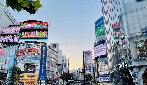 渋谷のシンボル 渋谷のシンボル 渋谷,東京,都会の写真素材