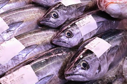 魚市場・海鮮市場4 魚市場・海鮮市場4 魚市場,市場,魚の写真素材