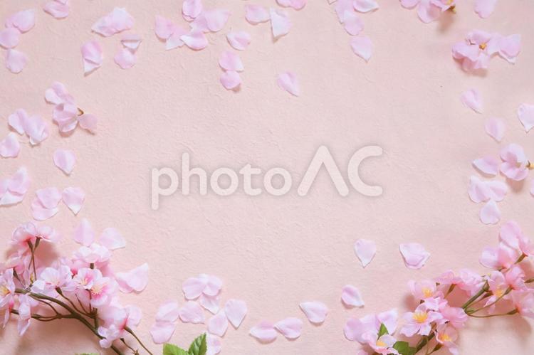 桜のフレーム 桜,フレーム,背景の写真素材