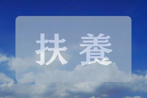 空と雲のテクスチャ(扶養) 空と雲のテクスチャ(扶養)の写真