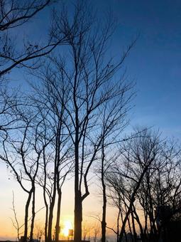 秋の終わり、街の夕暮れ 秋の終わり、街の夕暮れ 夕暮れ,空,暮れるの写真素材