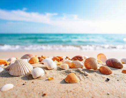 海岸 海岸の写真