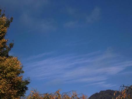 秋の空 空,秋,晴れの写真素材