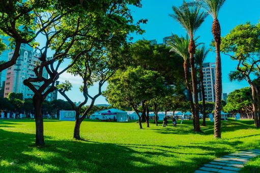 【台湾】台中の夏の公園 2025 【台湾】台中の夏の公園 2025 台中,街並み,風景の写真素材
