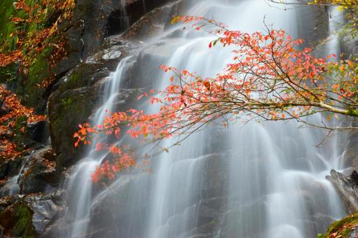 秋の滝2 滝,流れる,紅葉の写真素材