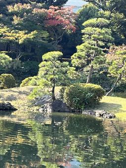 旧古河庭園 旧古河庭園 庭園,旧古河庭園,水鏡の写真素材