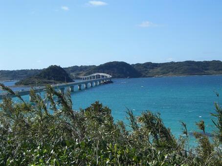 角島大橋 角島大橋の写真