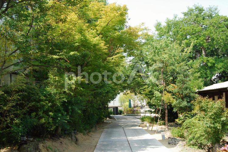 なら町の風景２ 奈良市,なら町,道の写真素材