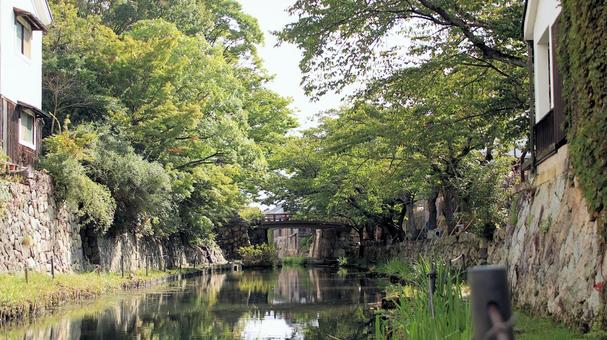 近江八幡市 八幡堀白雲橋方面を望む 近江八幡市 八幡堀白雲橋方面を望むの写真