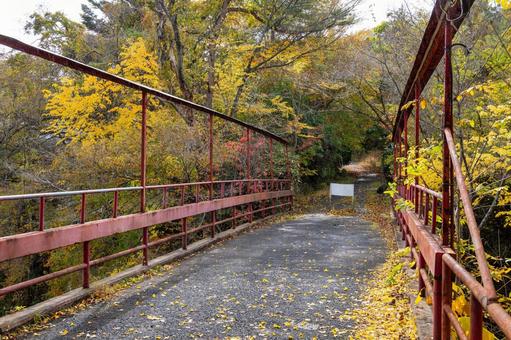 秋の磊々峡(44)の写真