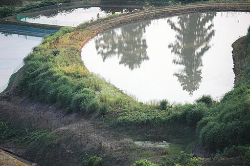 水面に映る 水面に映るの写真
