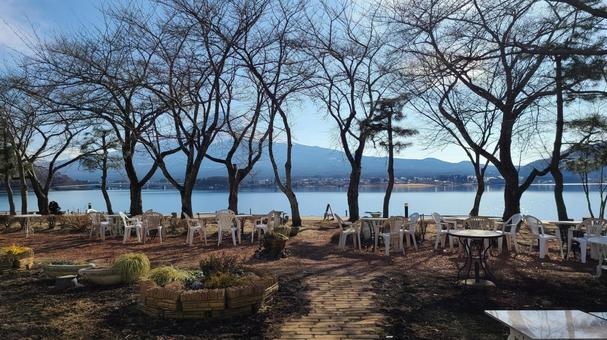 湖畔の庭 ベンチ,庭,日差しの写真素材