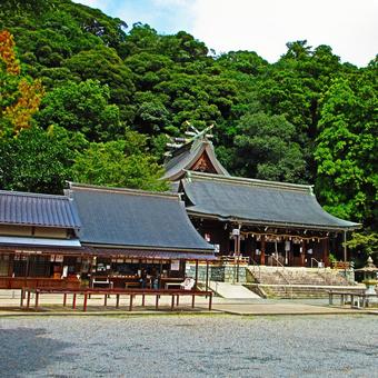 島根県-物部神社-拝殿 物部神社,神社,石見国の写真素材