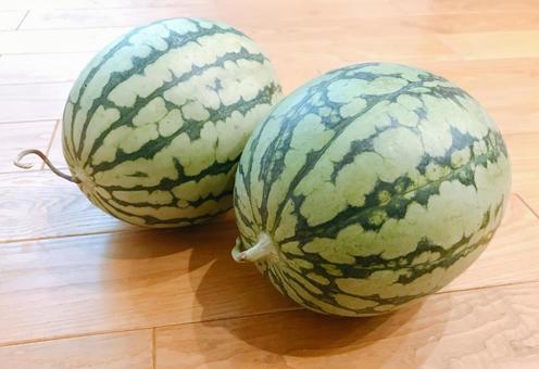 watermelon, JPG