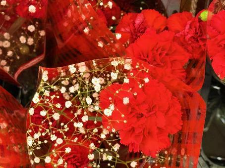 バラの花 バラ,カーネーション,赤の写真素材