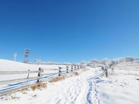 雪景色・冬の登山道(高ボッチ山) 雪景色・冬の登山道(高ボッチ山)の写真